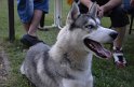 MCE Sommertreffen 2013 - 334